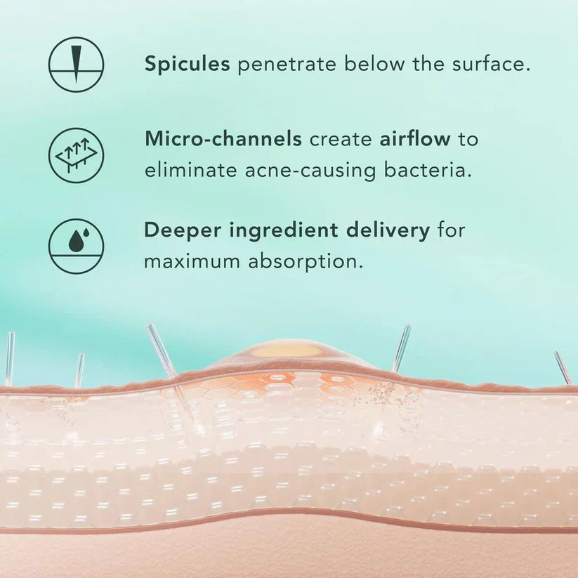 Microcrystal Serum PM Duo